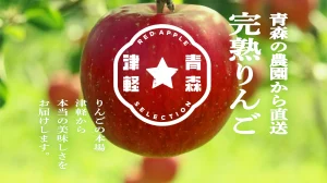 りんご農園ECサイト構築